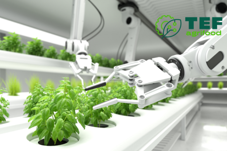 Robotic solutions and AI technology for agriculture – a partnership project of the Łukasiewicz Research Network – Poznań Institute of Technology