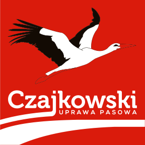 CZAJKOWSKI MASZYNY Sp. z o.o. - logo